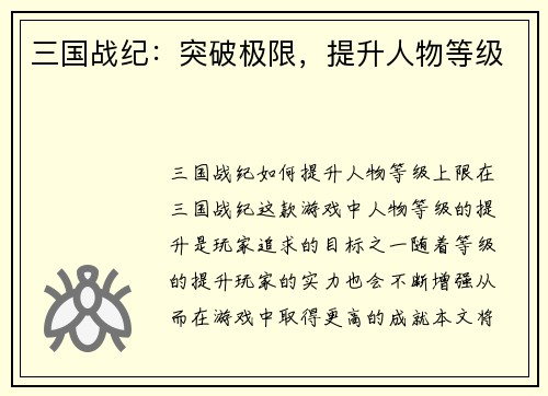 三国战纪：突破极限，提升人物等级